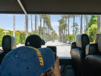 palm tree lined street view from Hollywood tour bus