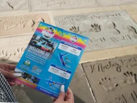 Hollywood Bus Tours brochure held over handprints at the Hollywood Walk of Fame.