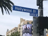 Hollywood Boulevard street sign with palm trees Los Angeles